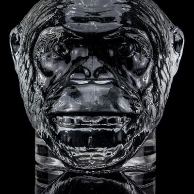 Diseño único 500ml 750ml Botella de vidrio en forma de cabeza de mono para vodka Liquor con corcho